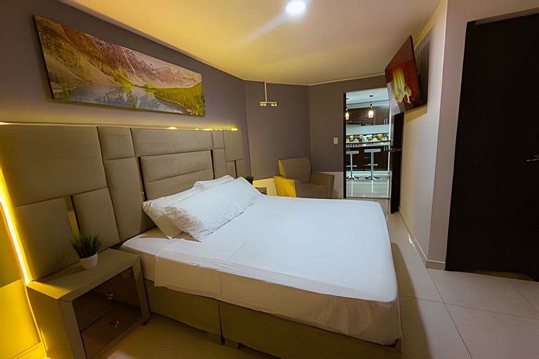 amplio y lujoso apartasuite en el centro